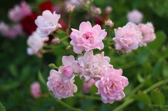 Wetterbild (Foto: Angelo Glashagel) Wetterbild (Foto: Angelo Glashagel)