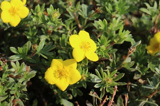 Wetterbild (Foto: Angelo Glashagel) Wetterbild (Foto: Angelo Glashagel)