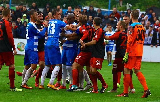 Rudelbildung (Foto: Bernd Peter) Rudelbildung (Foto: Bernd Peter)