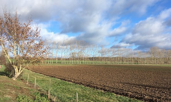 wetter (Foto: oas) wetter (Foto: oas)