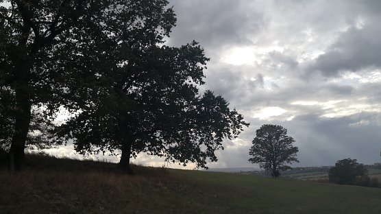 wetter (Foto: pst) wetter (Foto: pst)