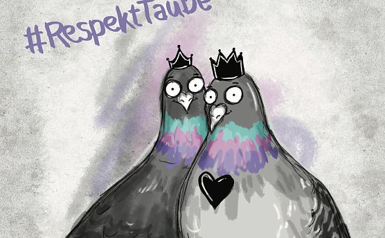 Taben (Foto: Eden Lumaj) Taben (Foto: Eden Lumaj)