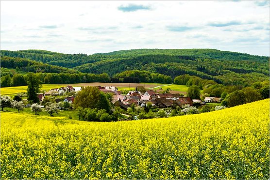 Eichstruth (Foto: Stefan Petermann) Eichstruth (Foto: Stefan Petermann)