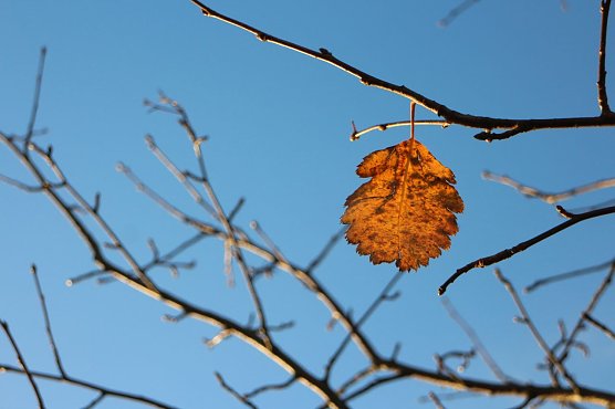 Wetterbild (Foto: Angelo Glashagel)