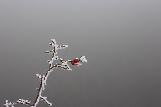 Wetterbild (Foto: Angelo Glashagel)