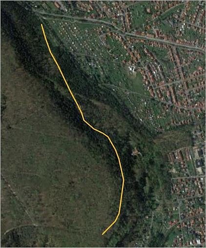 Schadholzeinschlag (Foto: Stadtverwaltung)