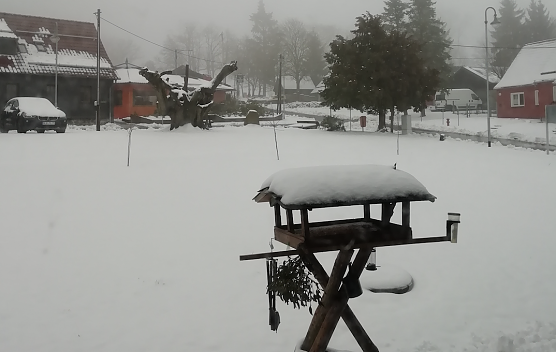 Morgenstund in Sophienhof (Foto: W. J&ouml;rgens)