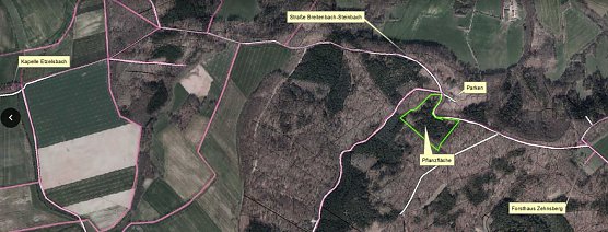 Baumpflanztag (Foto: Forstamt)