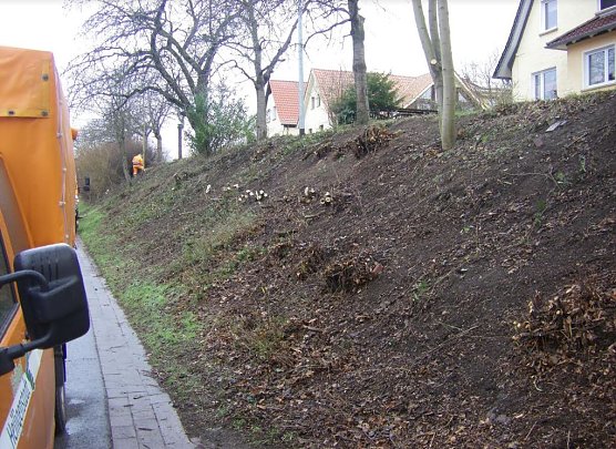 Am Hohen Rott (Foto: Wilhelm Roth)