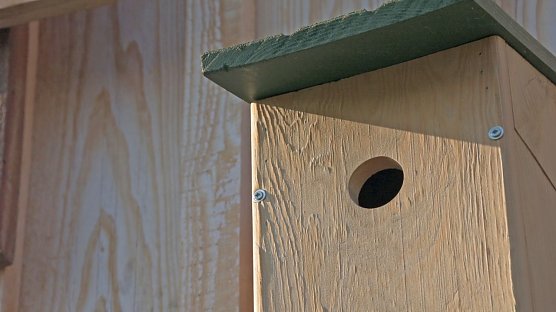 NABU: jetzt Nisthilfen aufh&auml;ngen (Foto: Torsten Porstmann)