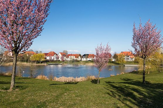 Märtens Teich (Foto: Stefan Rieger) Märtens Teich (Foto: Stefan Rieger)