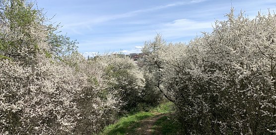 wetter (Foto: oas) wetter (Foto: oas)