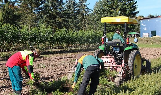 Baumschule (Foto: ThüringenForst) Baumschule (Foto: ThüringenForst)