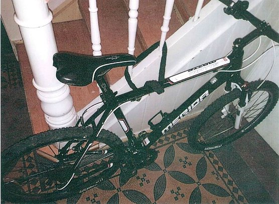 Gestohlenes Fahrrad (Foto: Polizei)