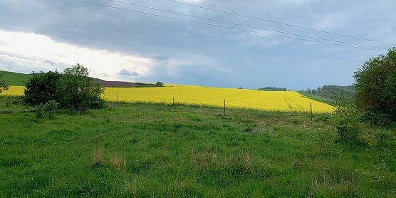 wetter (Foto: oas) wetter (Foto: oas)