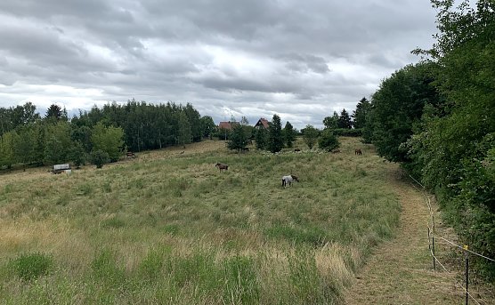 Nordhausen Nord (Foto: oas) Nordhausen Nord (Foto: oas)