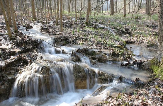 Griesbach bei Lutter � Kalksinterbach im Eichsfeld (Foto: Dieter Mey)