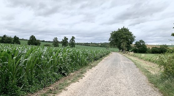 Nordhausen/Windlücke (Foto: oas) Nordhausen/Windlücke (Foto: oas)