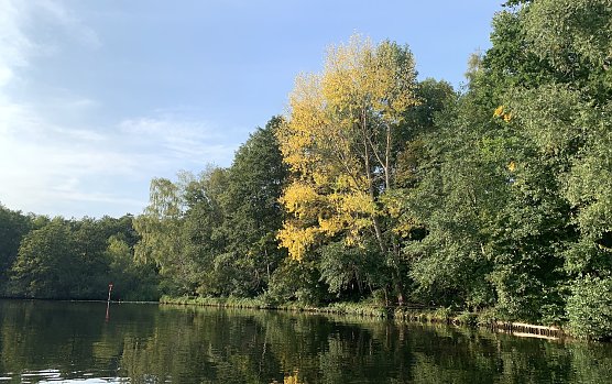 Kanal in einem Brandenburgischen See (Foto: oas)