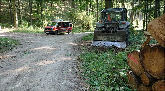 Forstunfall bei Bernterode (Foto: Franz Bierschenk)