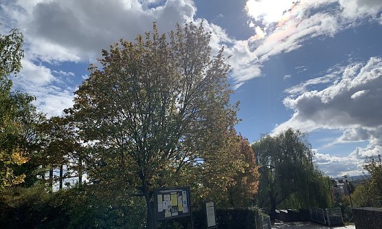 In Nordhausen (Foto: oas) In Nordhausen (Foto: oas)