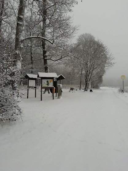 Winterwetter in Sophienhof (Foto: W. J&ouml;rgens)