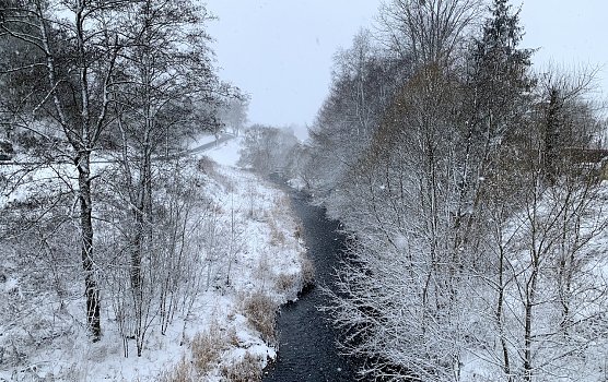 Blick von der Brücke in Tanne im Harz (Foto: oas) Blick von der Brücke in Tanne im Harz (Foto: oas)