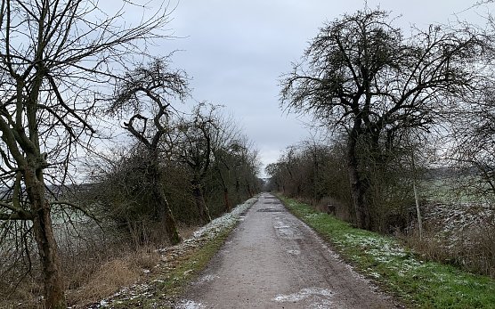 In der Windlücke in Nordhausen (Foto: oas) In der Windlücke in Nordhausen (Foto: oas)