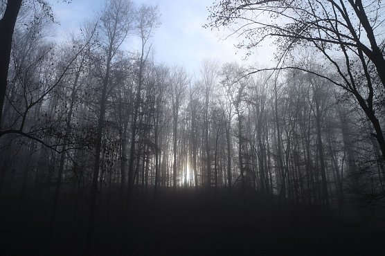 Wetterbild (Foto: agl) Wetterbild (Foto: agl)