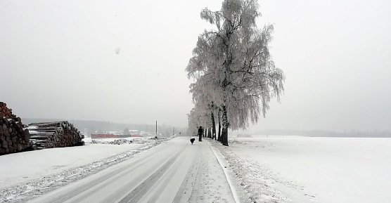 Am Nachmittag bei Sophienhof, dem n&ouml;rdlichsten Ort in Th&uuml;ringen: Starker Nord/Ost-Wind. Zunehmender Schneefall. (Foto: W. J&ouml;rgens)