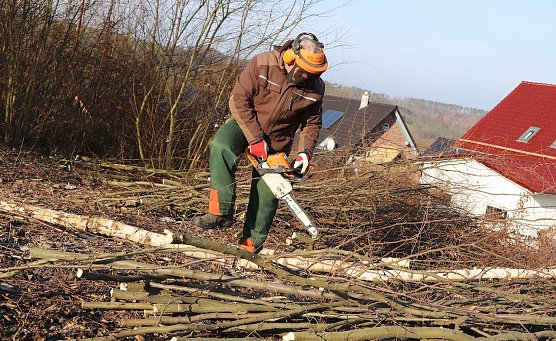 Gr&uuml;nschnittabgabe ist ab dem Wochenende wieder m&ouml;glich (Foto: Stadt Leinefelde-Worbis)