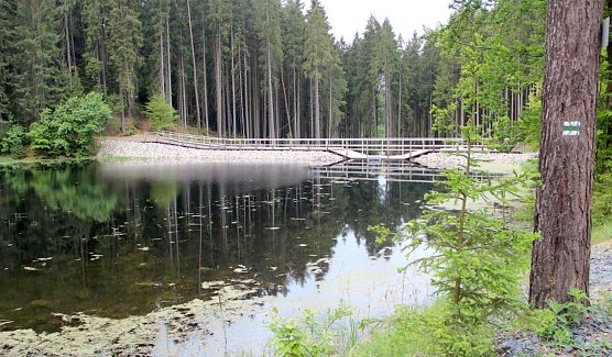 Wldbr&auml;nde verhindern (Foto: Th&uuml;ringenForst)