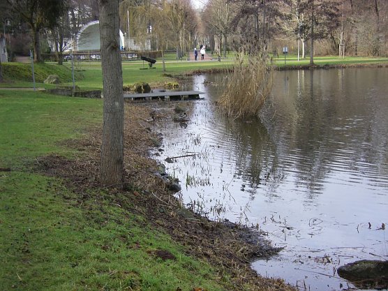 So sieht das Ufer aktuell aus (Foto: W. Roth)