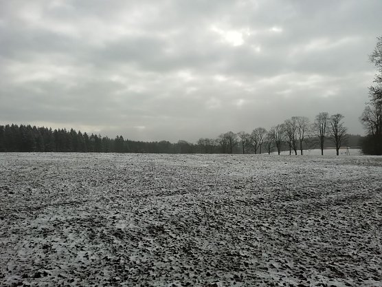 Bei Sophienhof (Foto: W.J&ouml;rgens)