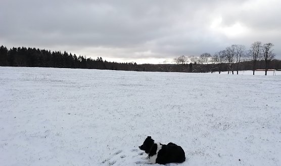 Sophienhof heute morgen bei -3 Grad und 2 Zentimeter Neuschnee (Foto: W.J&ouml;rgens)