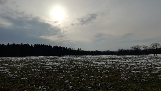Selbst in Sophienhof ist der Winter jetzt auf dem Rückzug (Foto: W.Jörgens) Selbst in Sophienhof ist der Winter jetzt auf dem Rückzug (Foto: W.Jörgens)