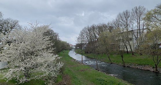 Zorgeufer in Nordhausen (Foto: oas) Zorgeufer in Nordhausen (Foto: oas)