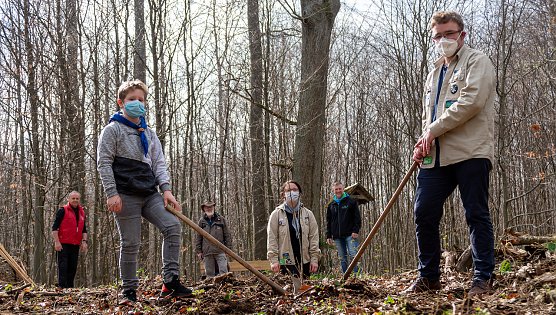 F&uuml;nf neue Eichen f&uuml;r den Stadtwald (Foto: Stadt Heiligenstadt)