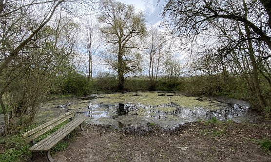Auch am Gr8ndlosen Loch in Nordhauen/Salza wird jetzt mit aller Macht Frühling (Foto: oas) Auch am Gr8ndlosen Loch in Nordhauen/Salza wird jetzt mit aller Macht Frühling (Foto: oas)