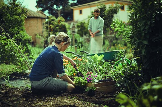 Mit Unterst&uuml;tzung von Fiskars Blumen im heimischen Garten pflanzen und Bienen ein neues Zuhause schenken (Foto: Fiskars.com)