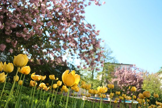 Wetterbild (Foto: agl)