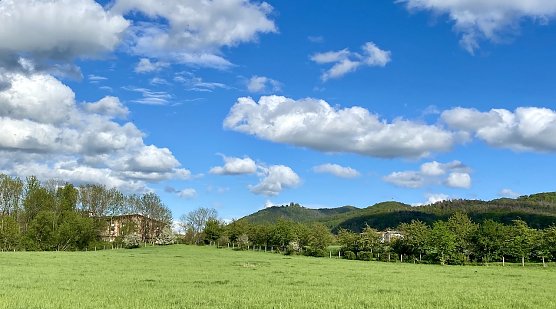 Am Stausee Kelbra (Foto: oas) Am Stausee Kelbra (Foto: oas)