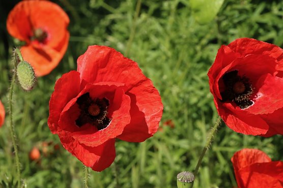 Wetterbild (Foto: agl)