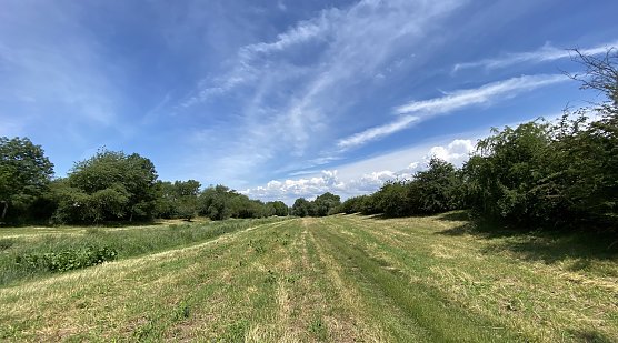 Sommer-Impression (Foto: oas)