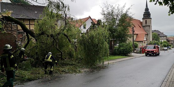Eine abgebrochene Weide blockierte in Bernterode die Fahrbahn (Foto: Feuerwehr Heiligenstadt) Eine abgebrochene Weide blockierte in Bernterode die Fahrbahn (Foto: Feuerwehr Heiligenstadt)