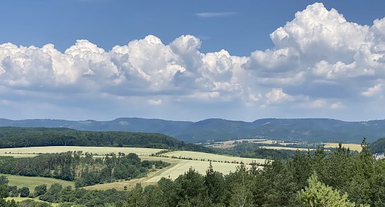 Blick von den H&ouml;rninger Klippen (Foto: oas)