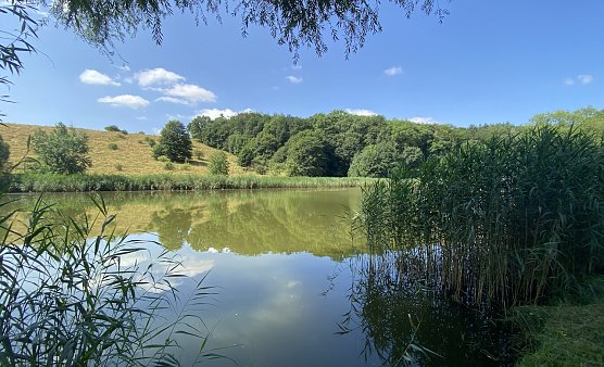Am Hirschenteich in Salza (Foto: oas) Am Hirschenteich in Salza (Foto: oas)