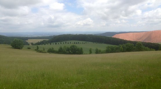 S&uuml;dharzer Sommerlandschaft (Foto: oas)