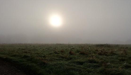 Im Hochharz heute Morgen (Foto: W.J&ouml;rgens)