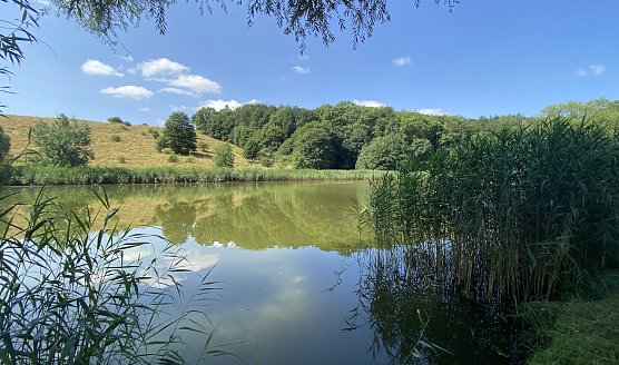 Hirschenteich bei Nordhausen-Salza (Foto: oas) Hirschenteich bei Nordhausen-Salza (Foto: oas)